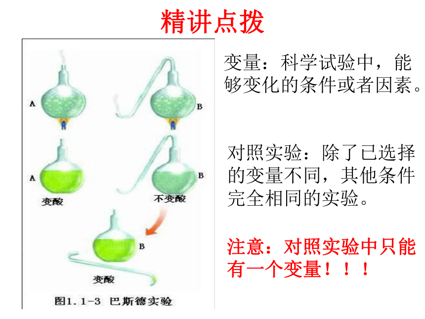 1.1.3生物学的探究方法 课件（共14张PPT）