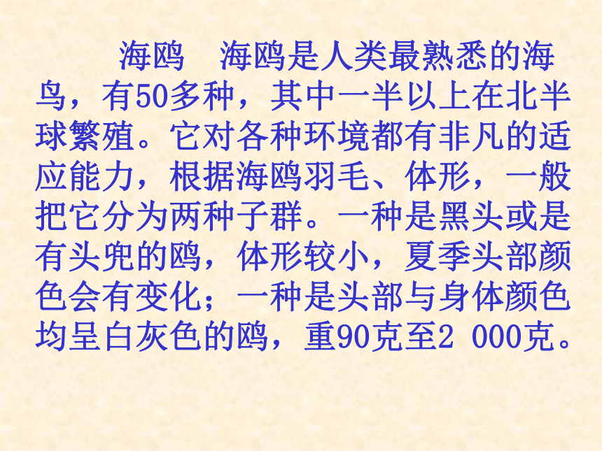 语文七年级下人教版（新疆专用）4.20《老人与海鸥》课件（44张）