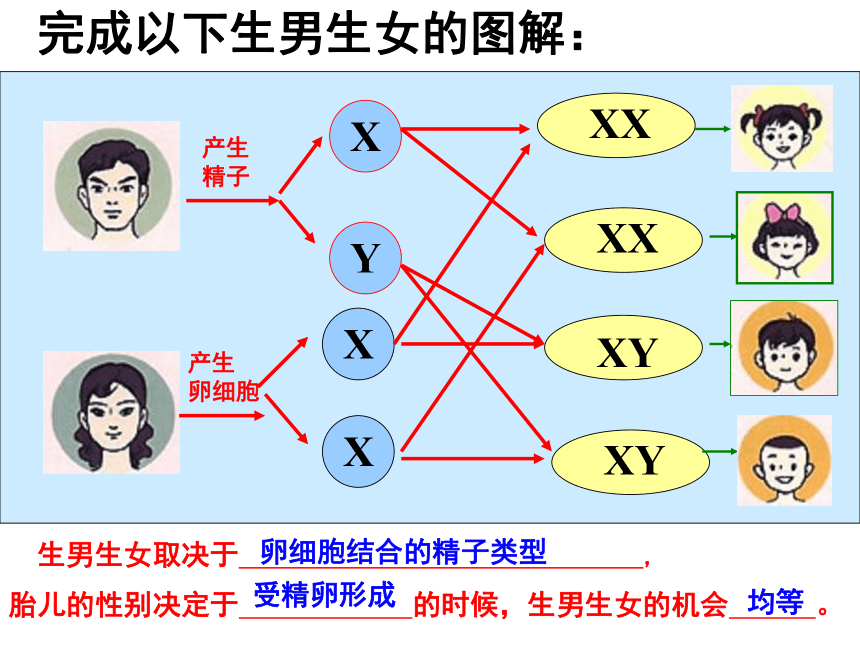 性别 男女图片