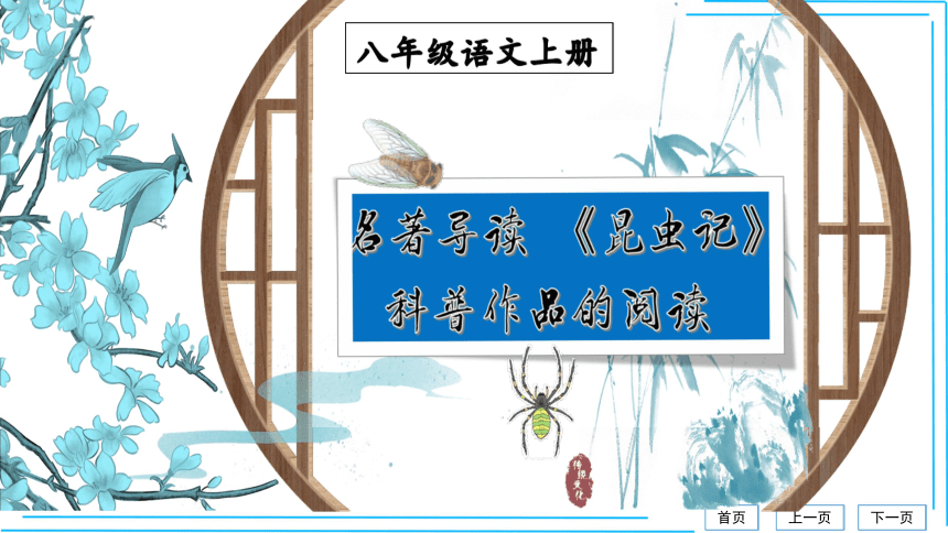 课件预览