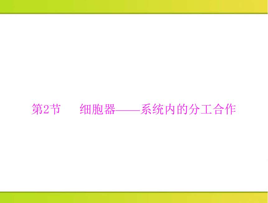 2013年《随堂优化训练》第3章第2节细胞器——系统内的分工合作