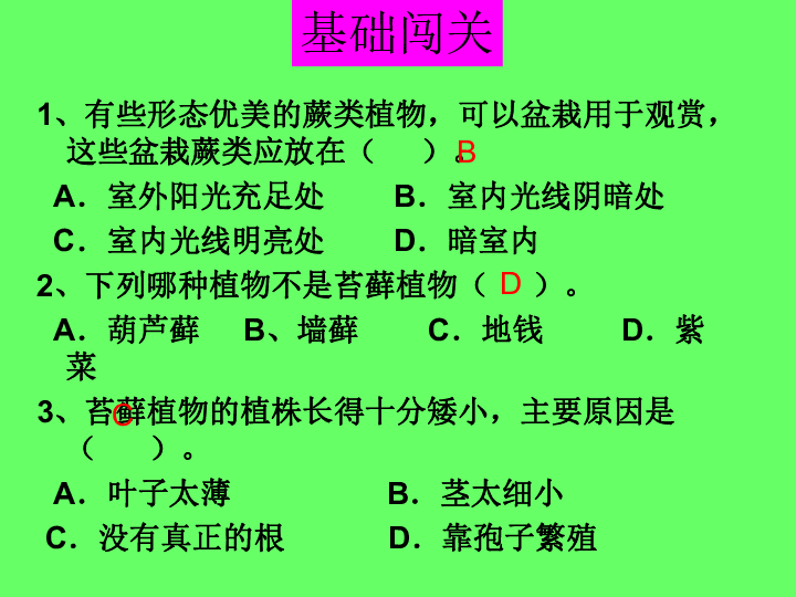 第三单元《生物圈中的绿色植物》第一章生物圈有哪些绿色植物复习课  课件（共20张PPT）