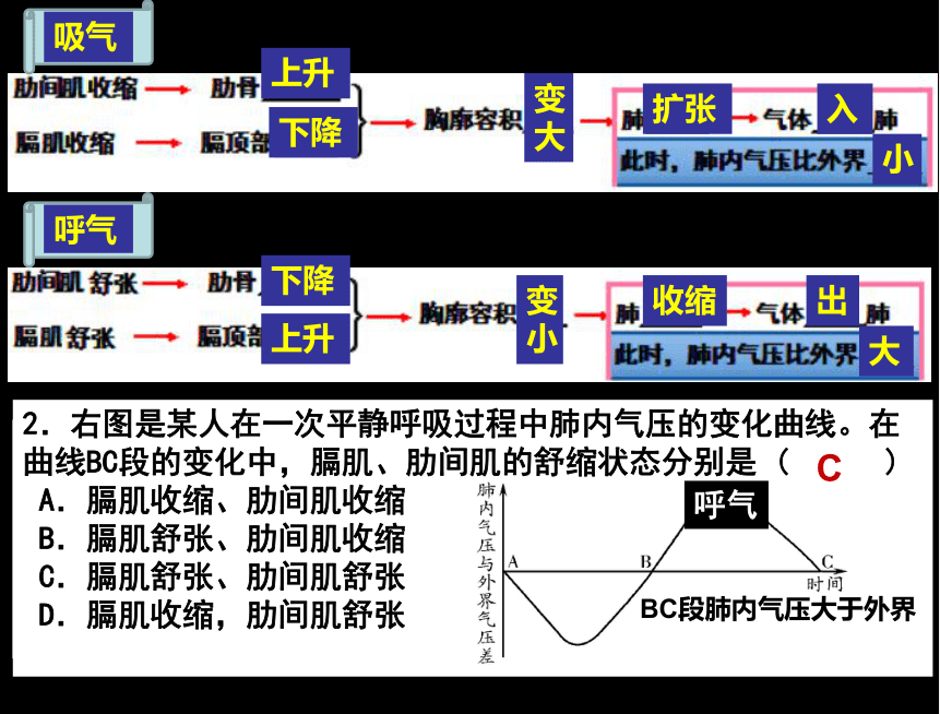 2019专题6：生物体内废物的排出课件（14张PPT）