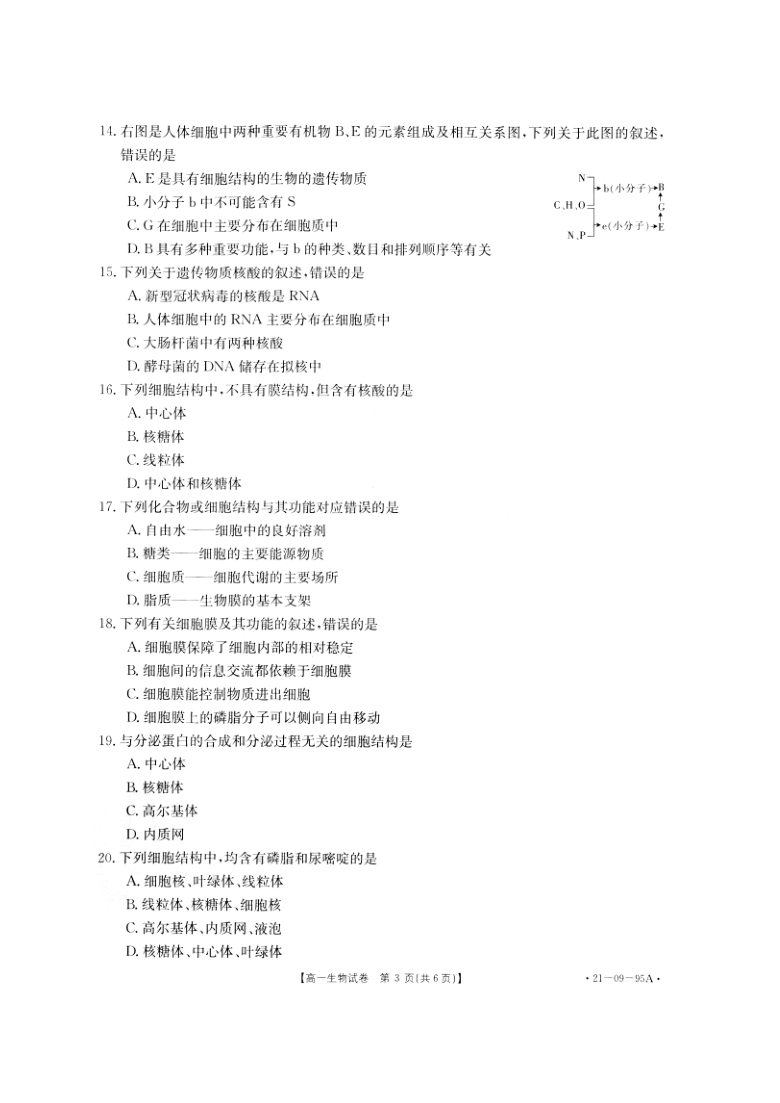 湖南省邵阳县2020-2021学年高一上学期期中考试生物试题 pdf版 含解析