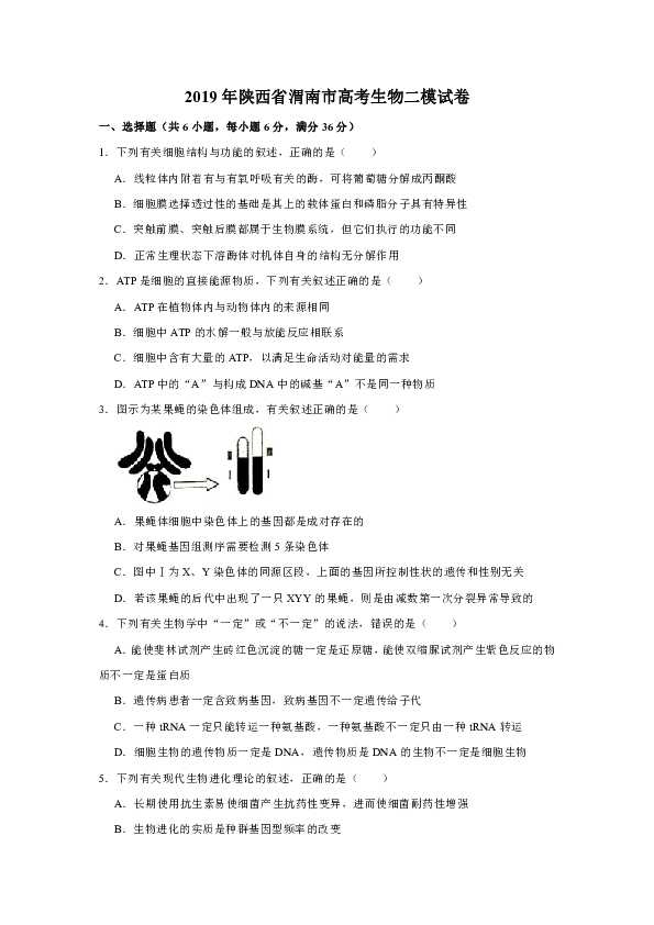 2019年陕西省渭南市高考生物二模试卷