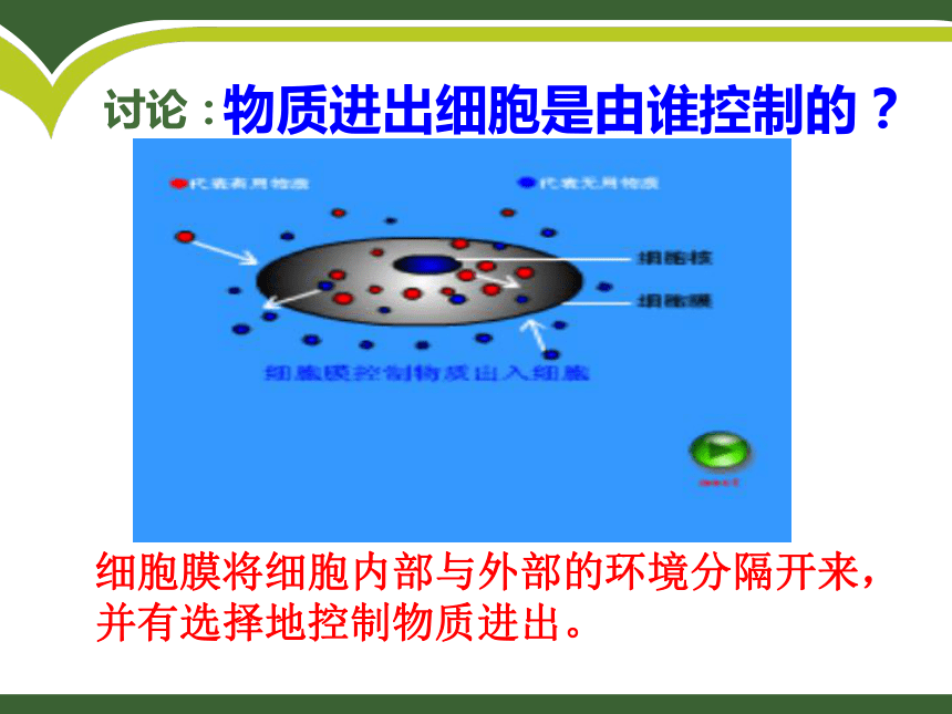 2.1.4细胞的生活 课件（46张PPT）