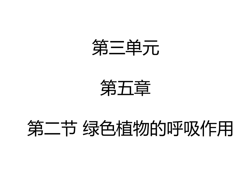 2017年秋人教版七年级上册生物课件3.5.2绿色植物的呼吸作用 （共20张PPT）