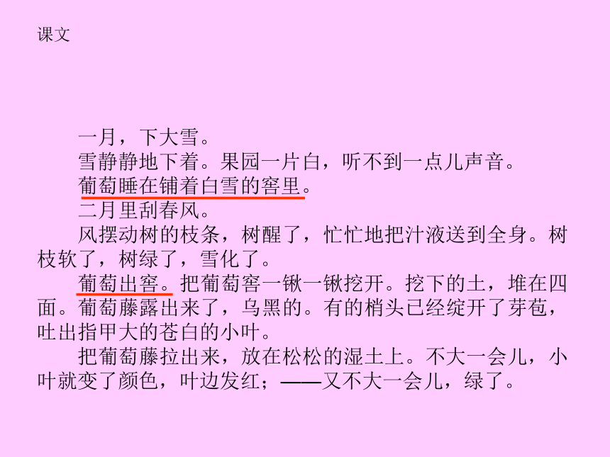 葡萄月令课件（含媒体素材）