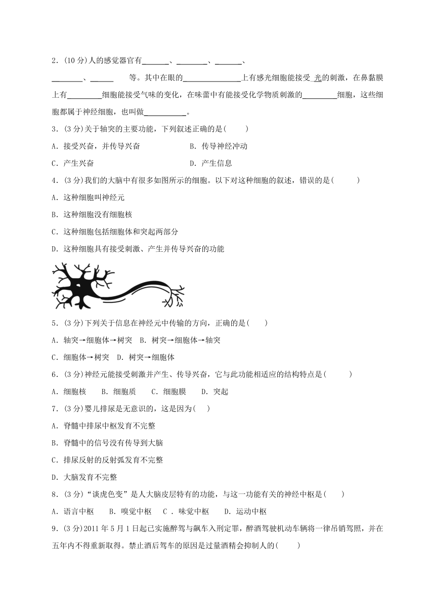 浙教版科学八年级上册 3.3 神经调节 导学案（无答案）