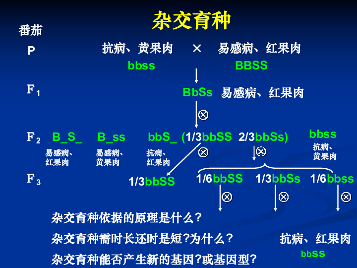 浙科版高中生物必修2第4章第2节生物变异在生产上的应用 共27张PPT