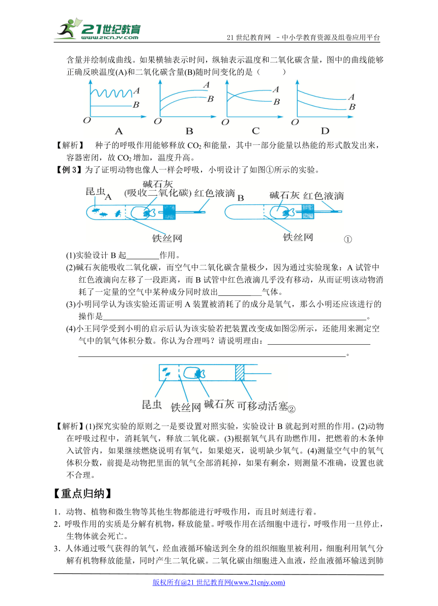 第5节《生物的呼吸和呼吸作用》重点归纳与精析提升（第2课时）