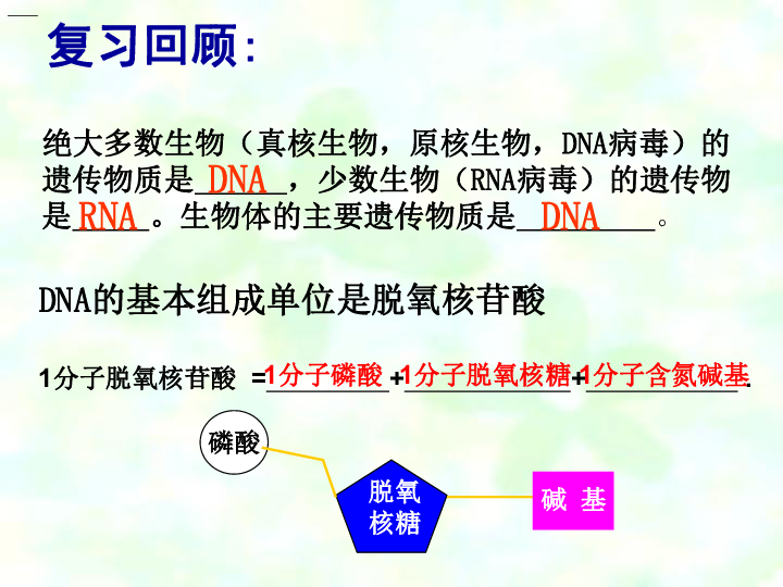 人教版高中生物必修二 第三章 第二节 DNA的分子结构课件（共25张PPT）