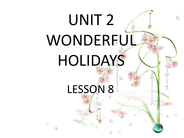 Unit 2 Wonderful holidays  Lesson 8 课件