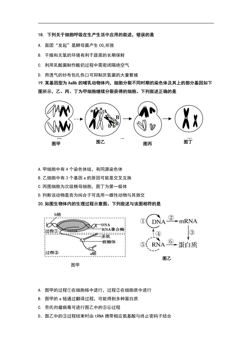 浙江省宁波诺丁汉大学附中2017-2018学年高二下学期期中考试生物试卷