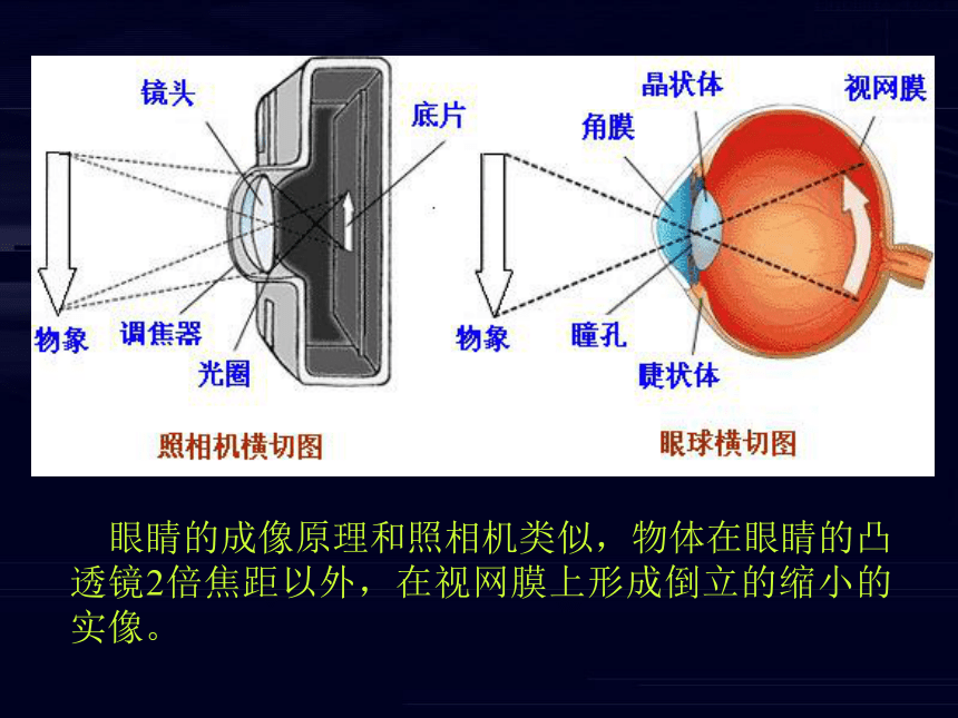 2.1《眼睛》课件（19张PPT）