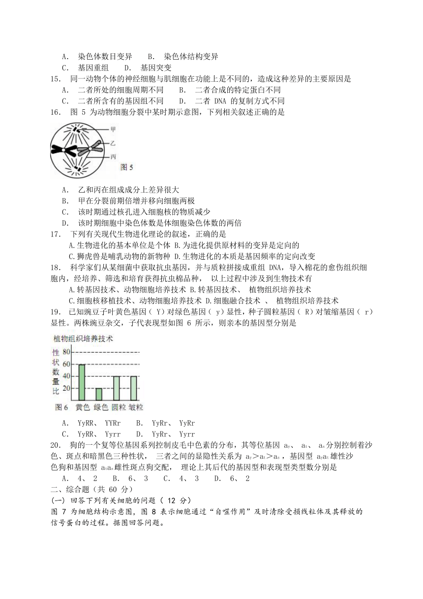 上海市嘉定区2018届高三下学期教学质量调研（二模）生命科学试题