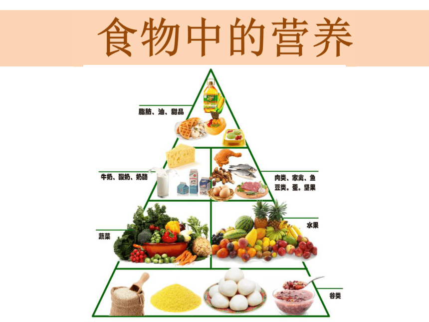 教科版2017秋四年級上冊25食物中的營養課件31ppt