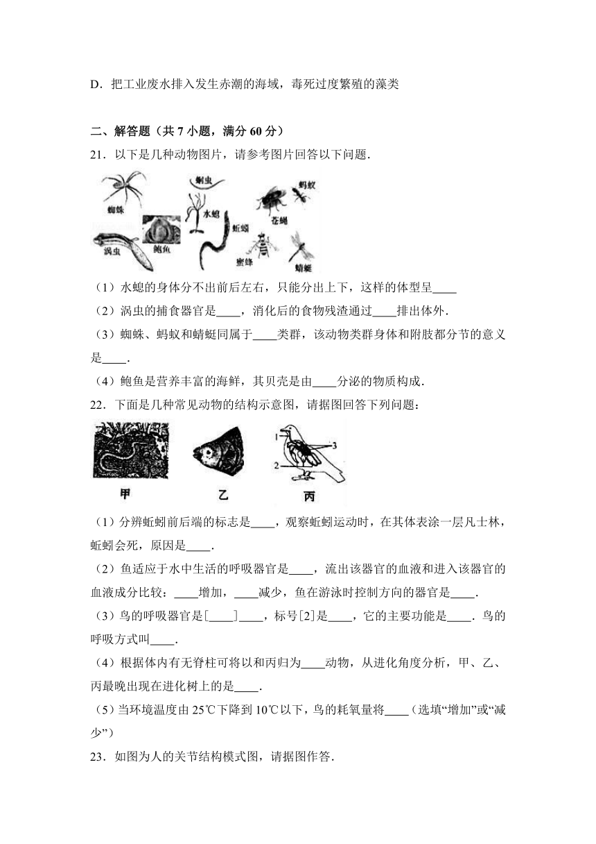 四川省资阳市简阳市2016-2017学年八年级（上）期末生物试卷（解析版）