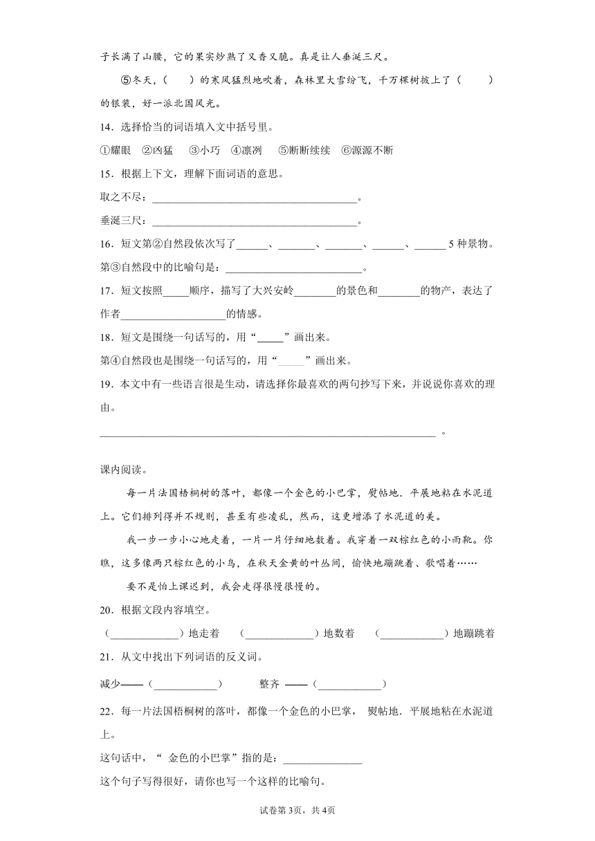 部编版语文三年级上期末综合复习试题（含答案）