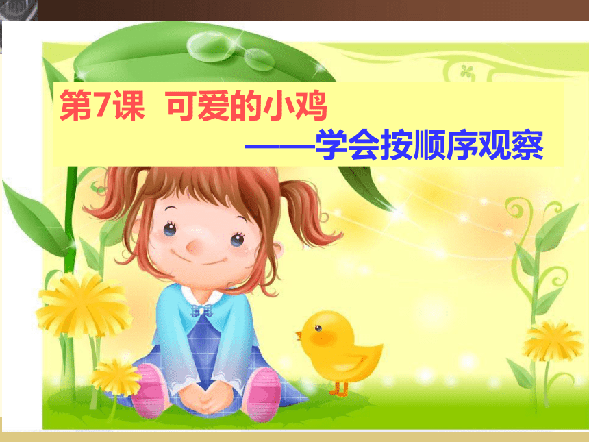 课件预览