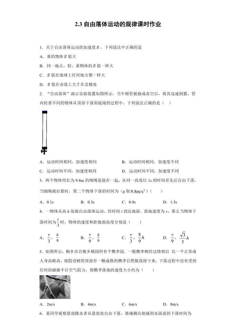 上海市金山高中2020—2021学年高中物理沪科版（2019）必修第一册：2.3自由落体运动的规律 课时训练（含解析）