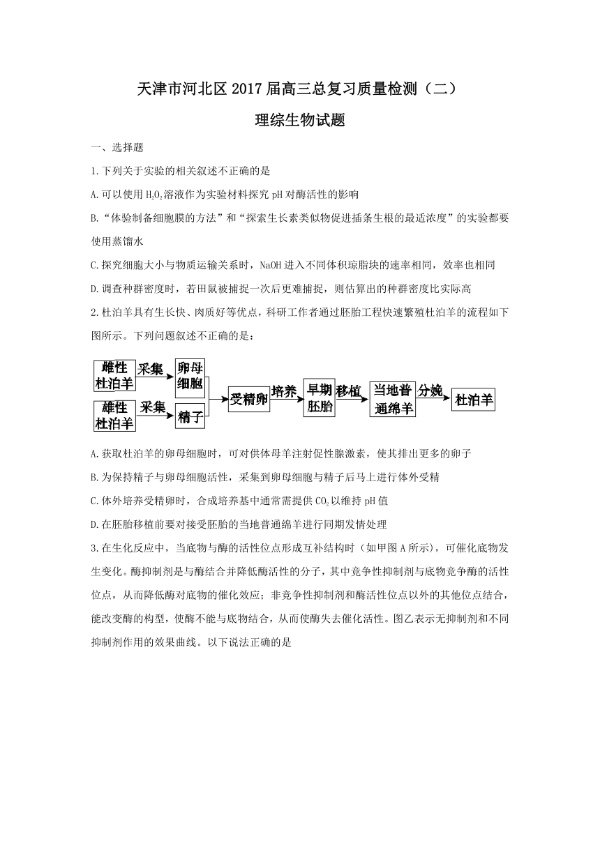 天津市河北区2017届高三总复习质量检测（二）理科综合试题 Word版含答案