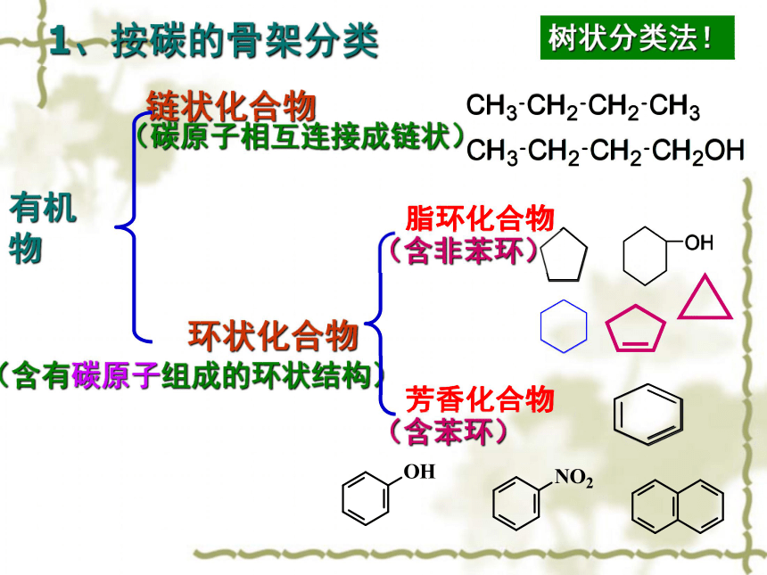 高中化学人教版 选修5第一章第一节 有机化合物的分类（29张）