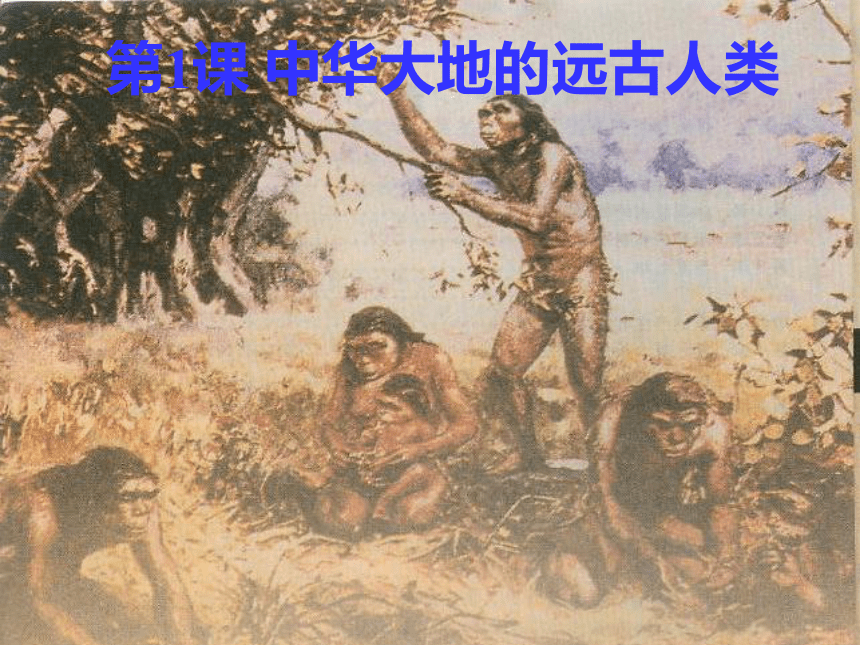第1课 中华大地的远古人类