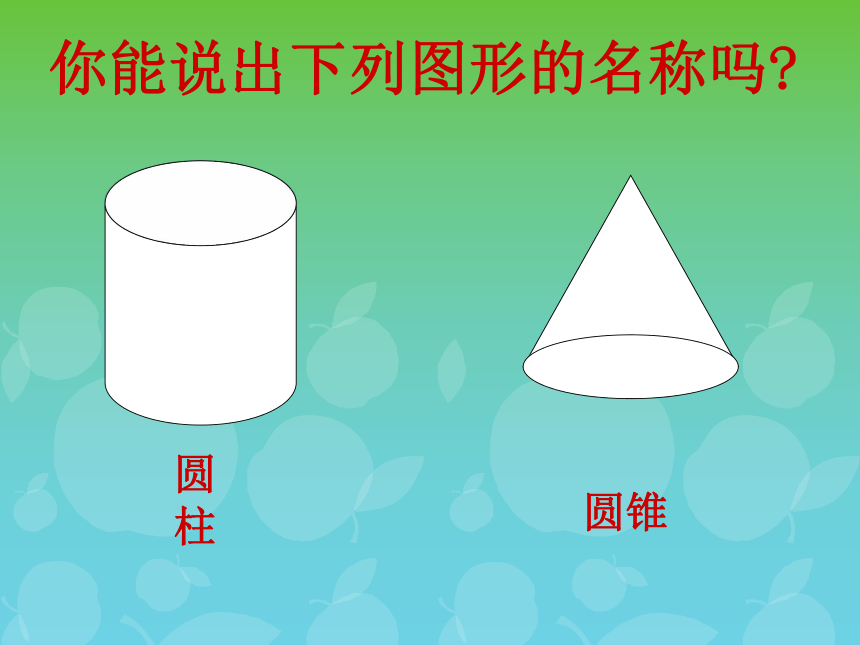 数学六年级下浙教版4.16圆柱与圆锥的认识 课件 (54张)