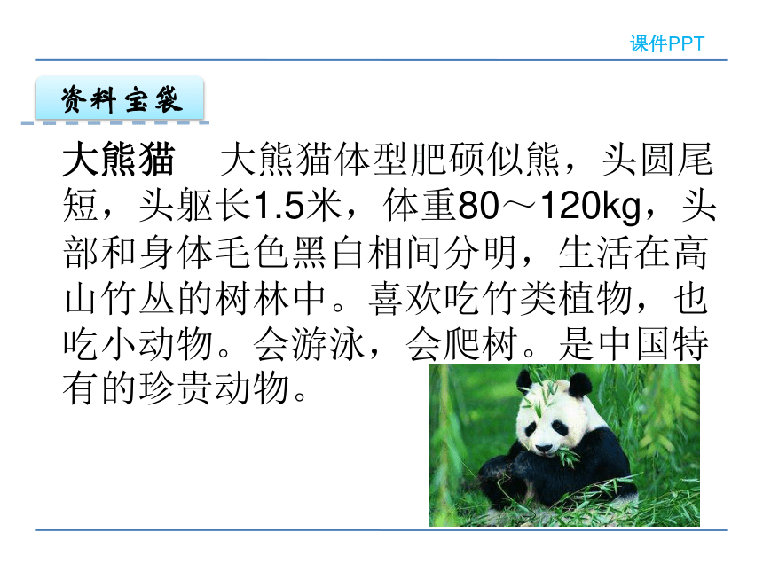 5.2 大熊猫  课件