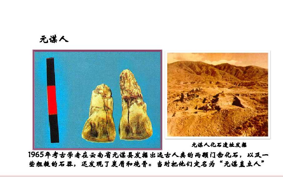 第1课 中国境内早期人类的代表——北京人(共23张PPT)