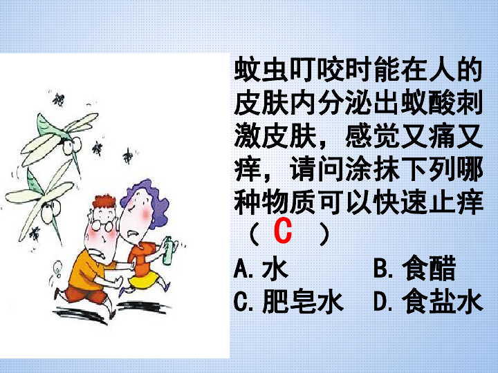 人教版（五四制）九年级化学 3.3 实验活动3 酸、碱的化学性质 课件（12张PPT）