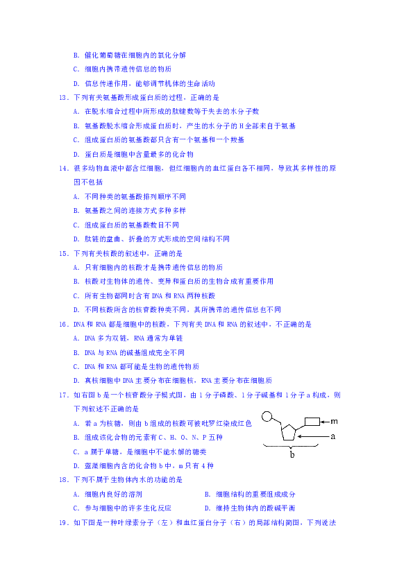 四川省蓉城名校联盟2018-2019学年高一上学期期中联考生物试题
