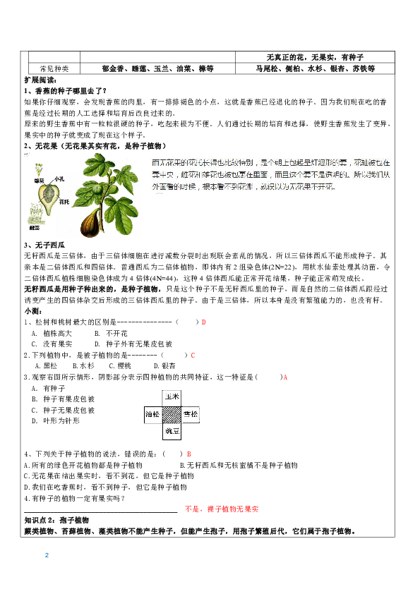 2.5 常见的植物 知识点辅导讲义