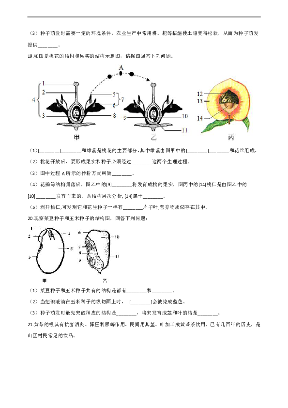 2020年中考生物重难点专练附答案：生物圈中的绿色植物