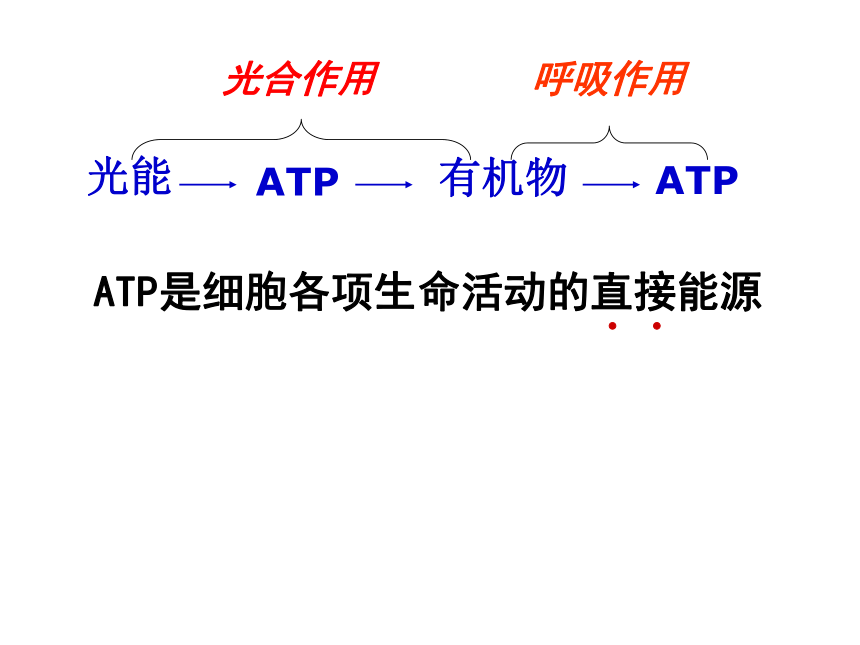 苏教版必修1第四章第一节酶与ATP（共58张PPT）