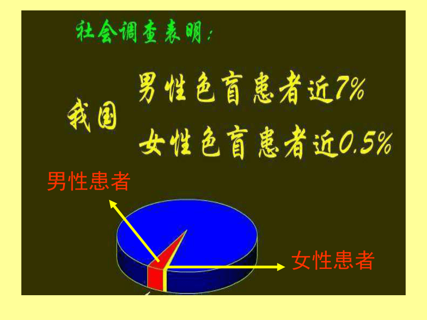 《伴性遗传》 课件 (共54张PPT)