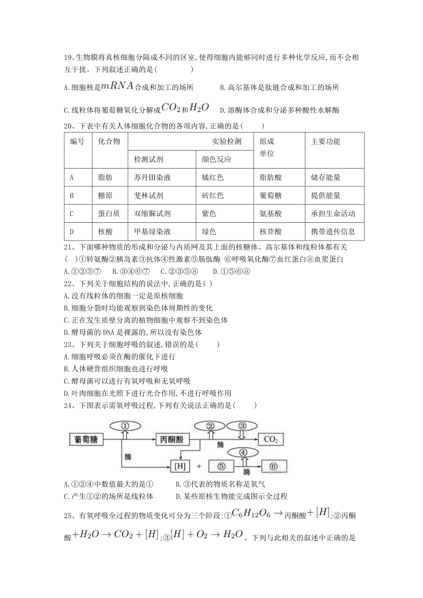 河北省石家庄鹿泉一中2016-2017学年高二下学期期中考试生物试卷