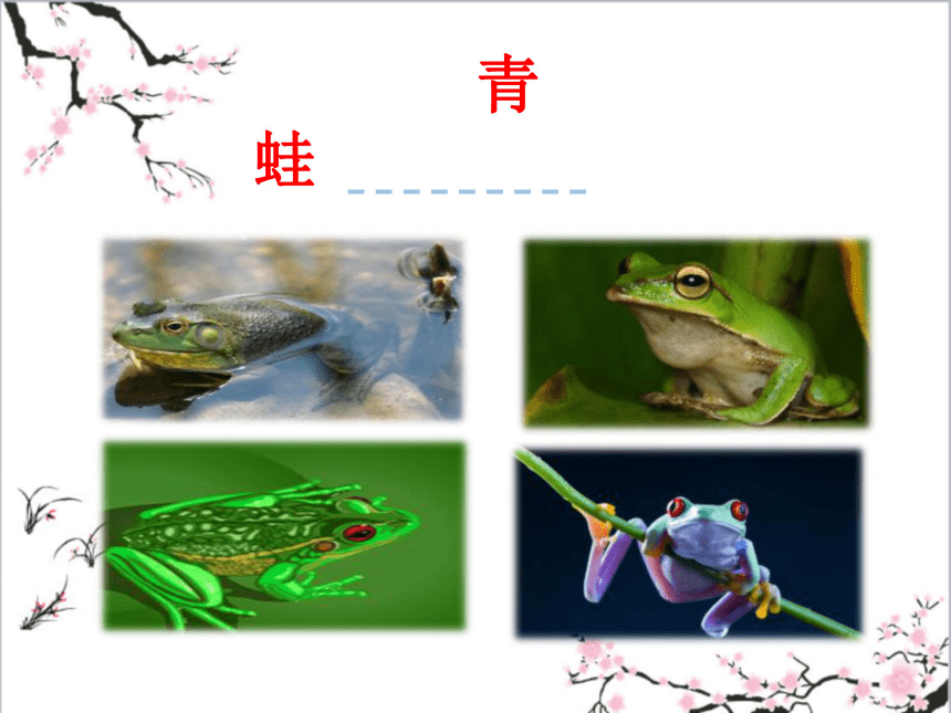 教科版（2018）语文三上第二单元 青蛙 课件
