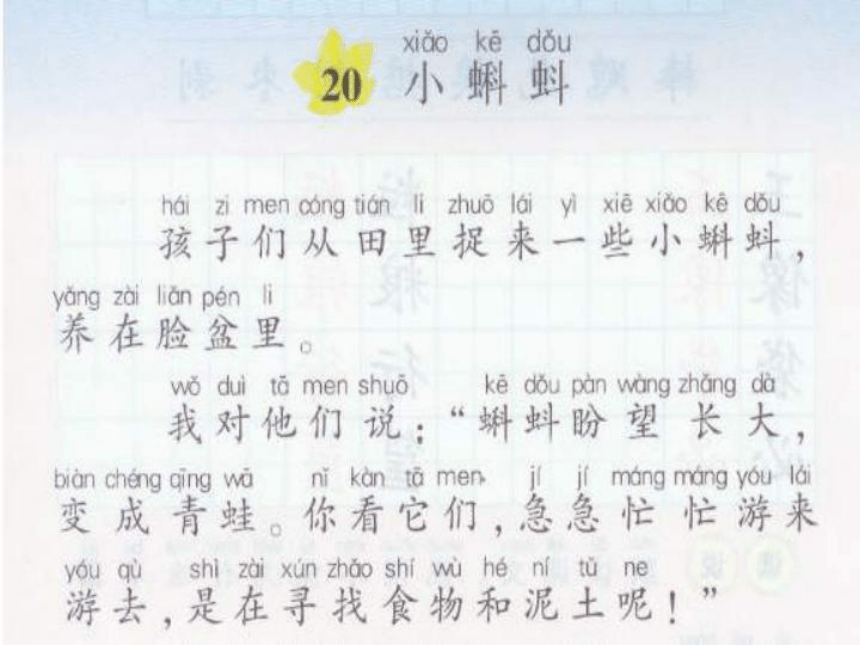 小学语文湘教版二年级下册同步课件：20小蝌蚪