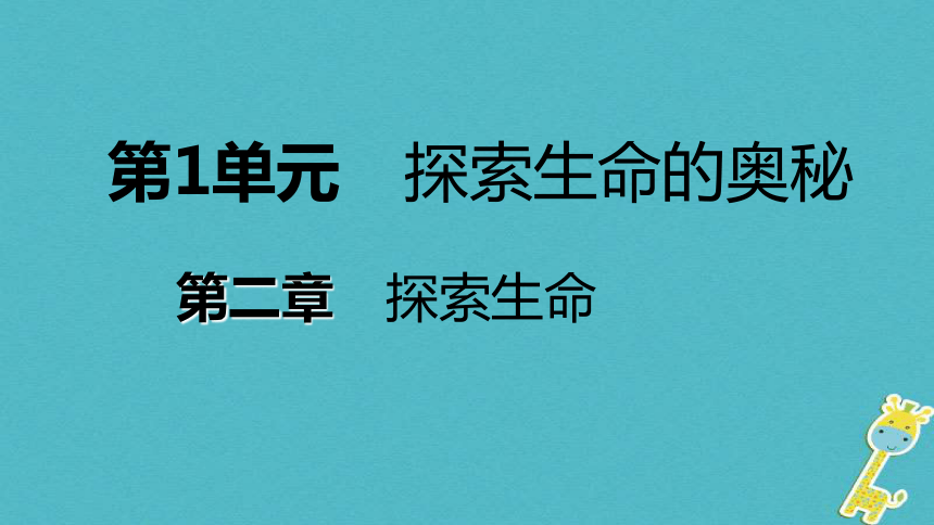 探索生命的器具第2课时常用的探究器具和临时玻片标本的制作课件(19张PPT）