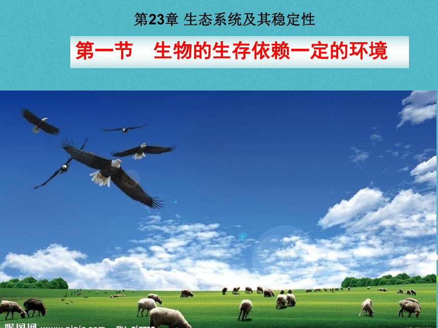广东省揭阳市八年级生物下册23.1生物的生存依赖一定的环境课件（新版）北师大版