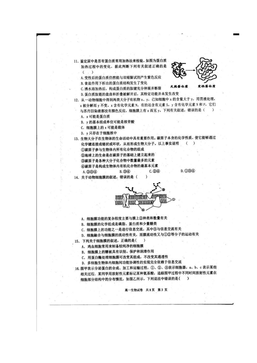 江西省上饶市2016-2017学年高一上学期期末考试生物试题（扫描版，含答案）