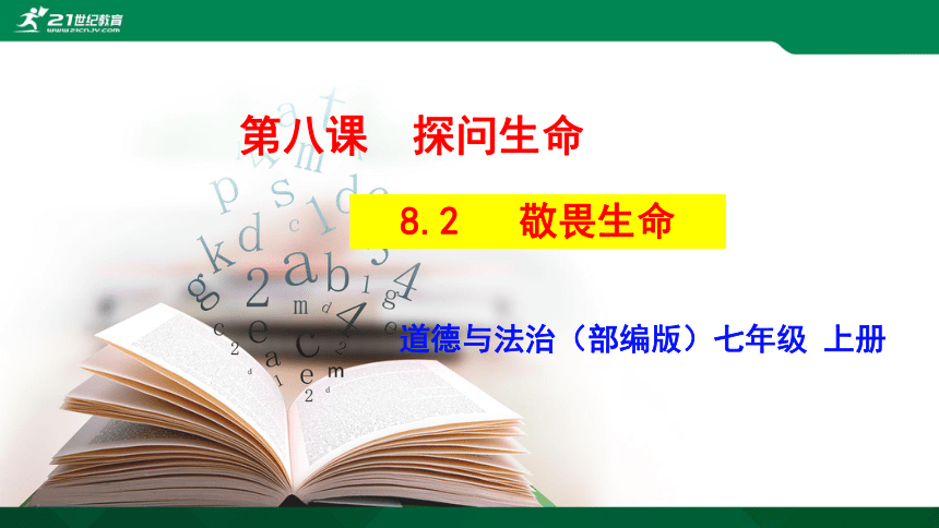 课件预览