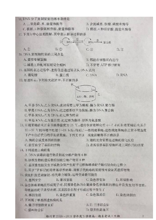 广西梧州市2018-2019学年高一下学期期末考试生物试题 扫描版含答案