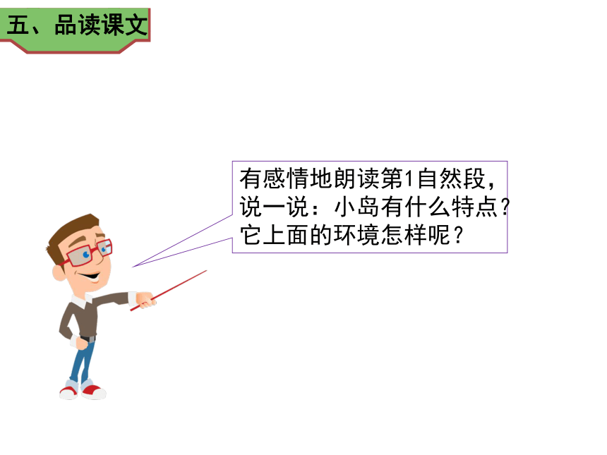 15小岛课件共47张ppt