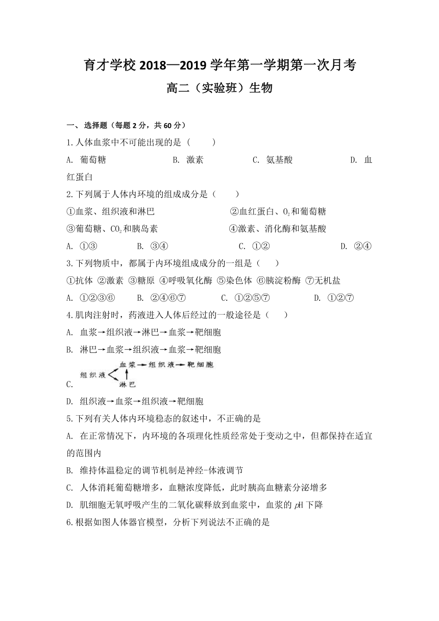 安徽省滁州市定远县育才学校2018-2019学年高二（实验班）上学期第一次月考生物试题