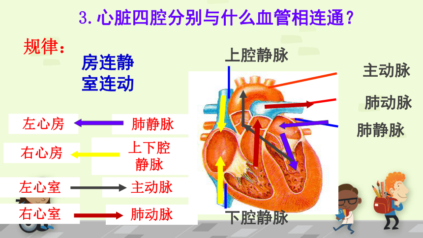 人教版七年级生物下册4.4.3输送血液的泵—心脏 课件 (共33张PPT)