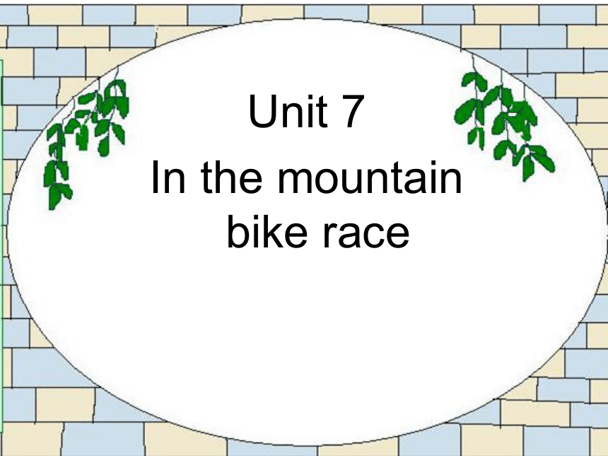 Unit 7 The mountain bike race   课件