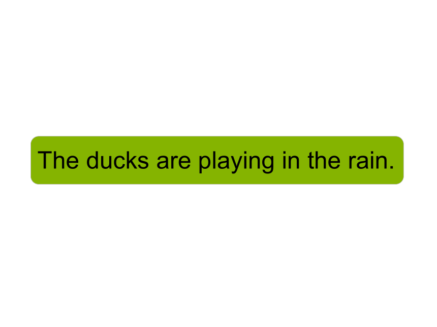 Module 3  Unit 2 The ducks are playing in the rain.课件（14张PPT）